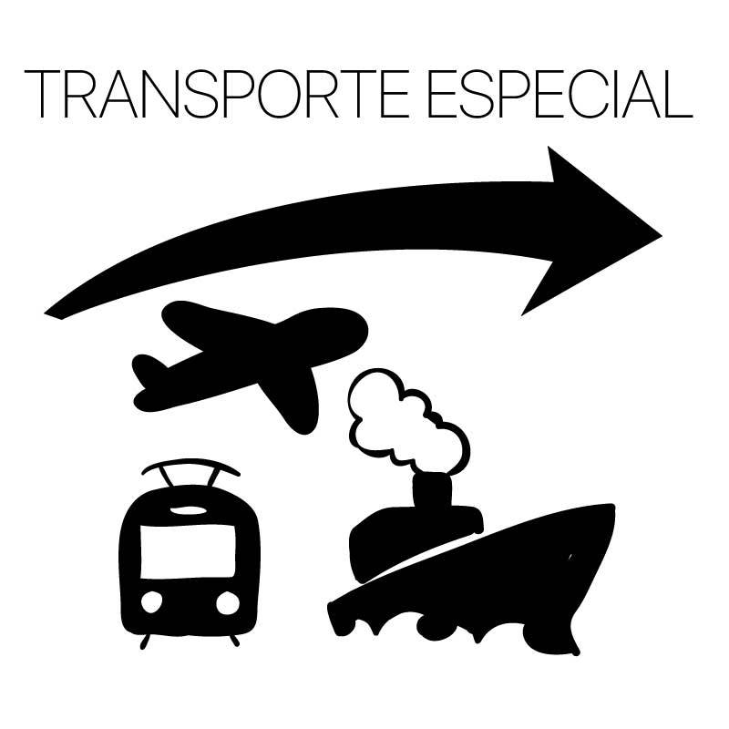 TRANSPORTE ESPECIAL, FRANCIA