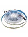 Tira de LED de 24V, dual color, Rollo de 5 metros, C+N+F, de caliente a frío, IP65.