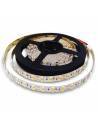 Tira de led 24V, rollo de 5 mts, corte cada 10 cms. 120 LED por metro, proteccion IP20.