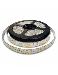 TIRA LED 5050 MONOCOLOR 24V...
