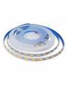 TIRA LED 24V, 5050 de 60LEDxMETRO, IP20 MONOCOLOR. Rollo de 5mts. corte cada 10cms.
