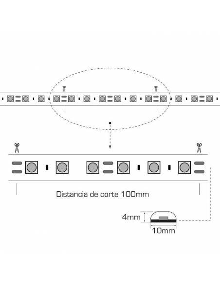 TIRA LED 24V, 5050 de 60LEDxMETRO, IP20 MONOCOLOR. Rollo de 5mts. corte cada 10cms. Dibujo técnico y medidas.