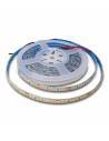 TIRA LED 24V, 5050 de 60LEDxMETRO, IP65 MONOCOLOR. Rollo de 5mts. corte cada 10cms.