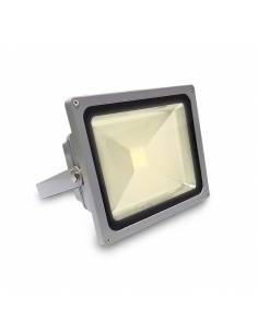 Proyector LED de 30W, modelo EXTERIOR. 2