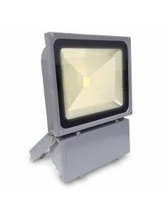Proyector LED de 100W, modelo EXTERIOR. 2