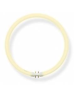 Bombilla CFL circular JINLING de 55W, T5 casquillo 2GX13. 2