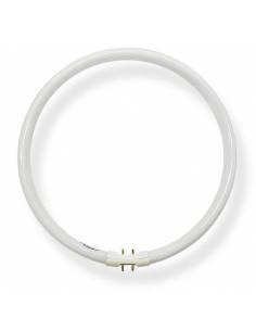 Bombilla bajo consumo CIRCULAR, OSRAM LUMILUX 40W casquillo 2GX13.