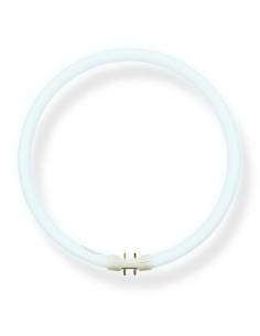Bombilla bajo consumo CIRCULAR, OSRAM LUMILUX 40W casquillo 2GX13. 2