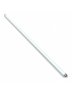 Fluorescente OSRAM LUMILUX HO de 39W compacto T5, conexión G13. 2