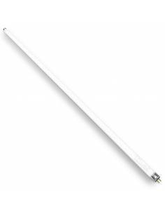 Fluorescente OSRAM LUMILUX FQ de 39W compacto T5, conexión G13. 2