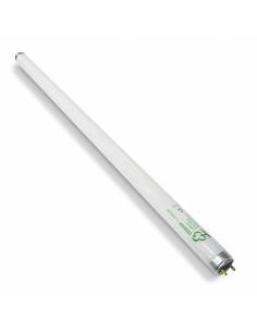 Fluorescente OSRAM LUMILUX WARM WHITE de 60 cms, 18W.