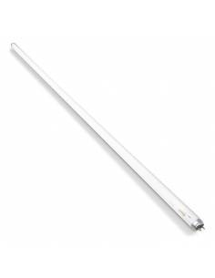 Fluorescente LEUCI PREHEAT TRI-STAR de 36W de potencia, Tubo T8.