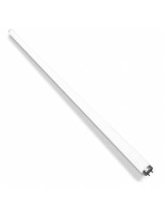 Fluorescente NEC BIOLUX AQUARIUM LAMP de. 40W, tubo T10. 2