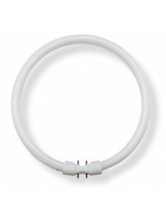 Bombilla bajo consumo CIRCULAR, OSRAM LUMILUX 22W casquillo 2GX13.