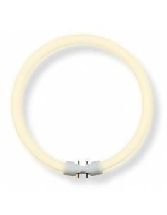 Bombilla bajo consumo CIRCULAR, OSRAM LUMILUX 22W casquillo 2GX13. 2